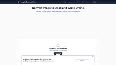 Image to Black and White Converter - AI tool for Design Tools