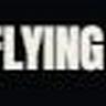 FlyingCar AI