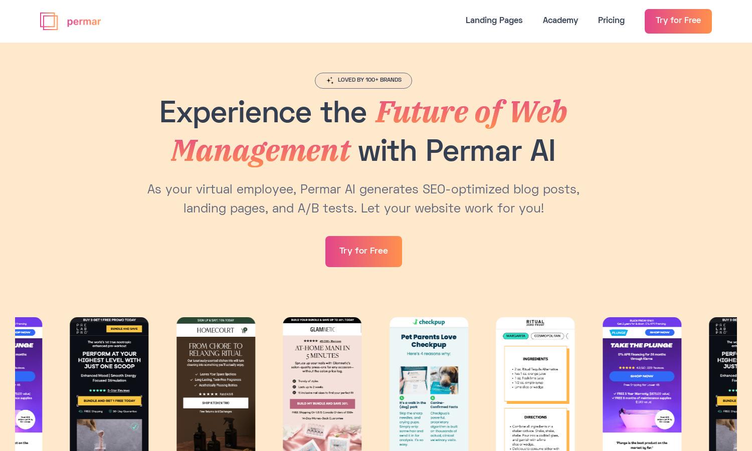 Permar AI Website