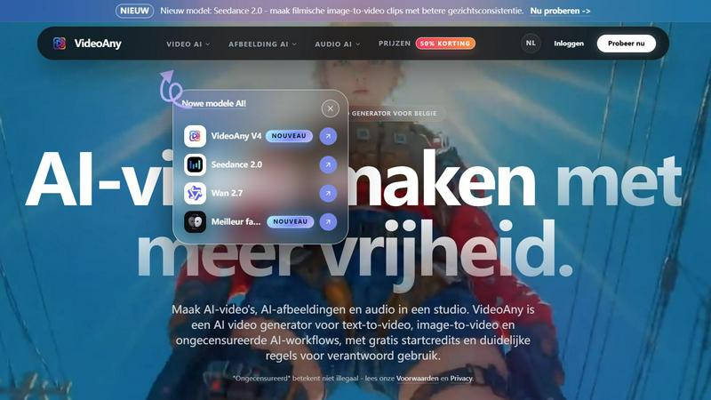 VideoAny BE application interface and features